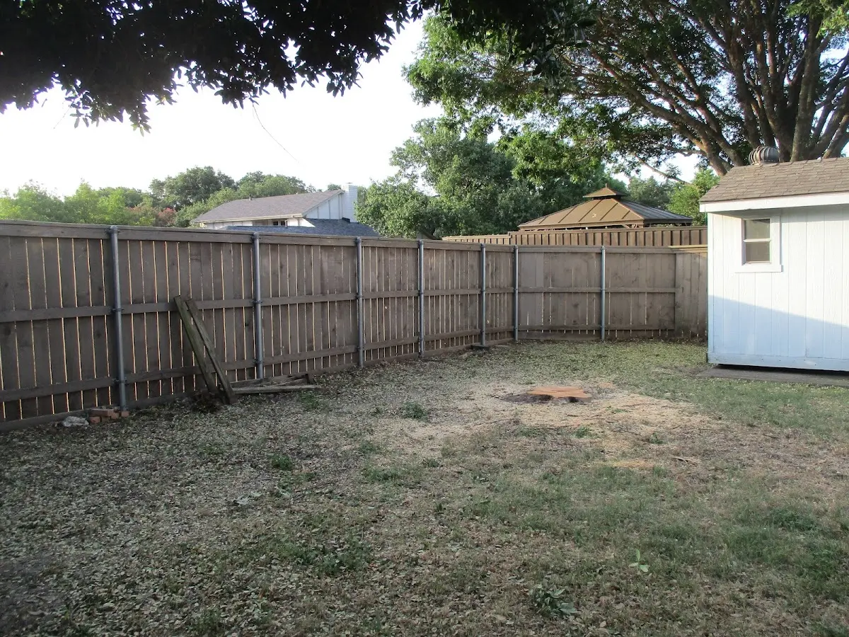 Cleared yard after professional tree removal in Western Springs